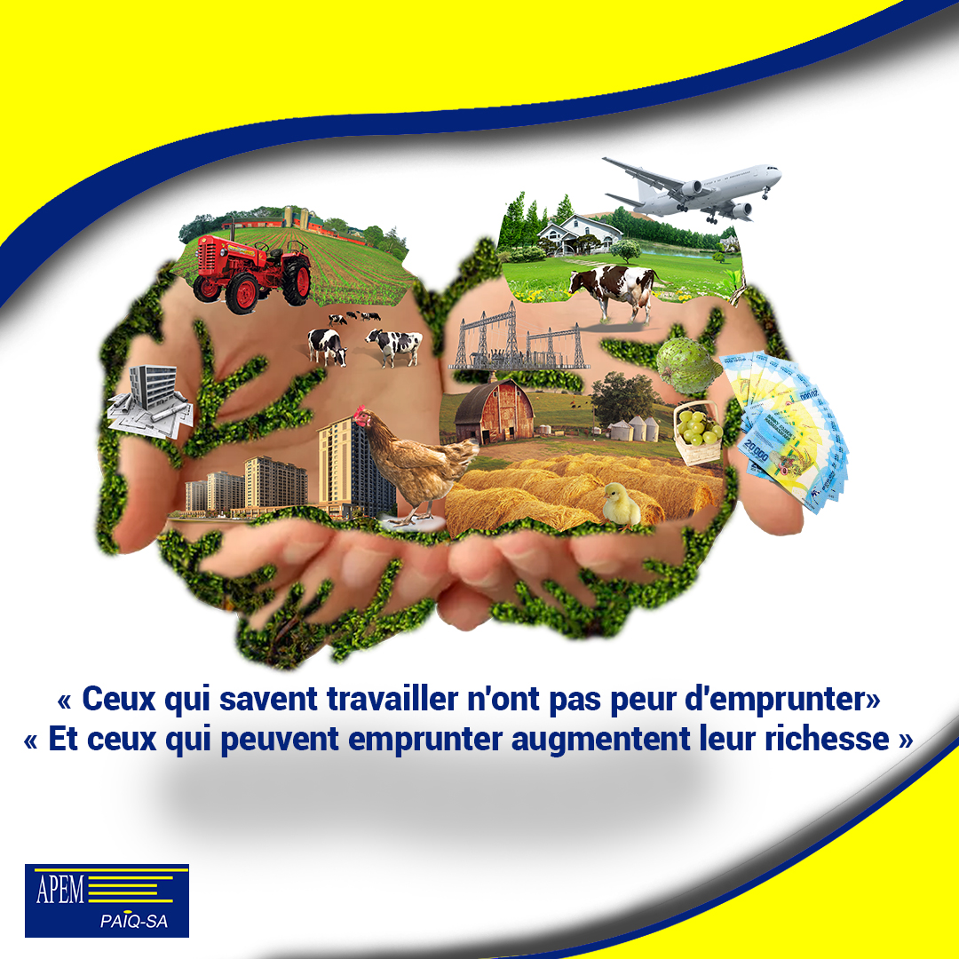 Projet Marketing microfinance