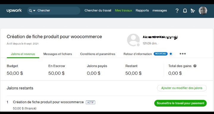 Fiche produit WordPress 